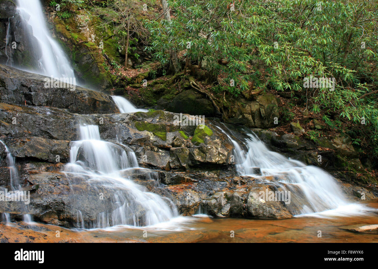 Laurel fällt in den Smoky Mountains NP Stockfoto