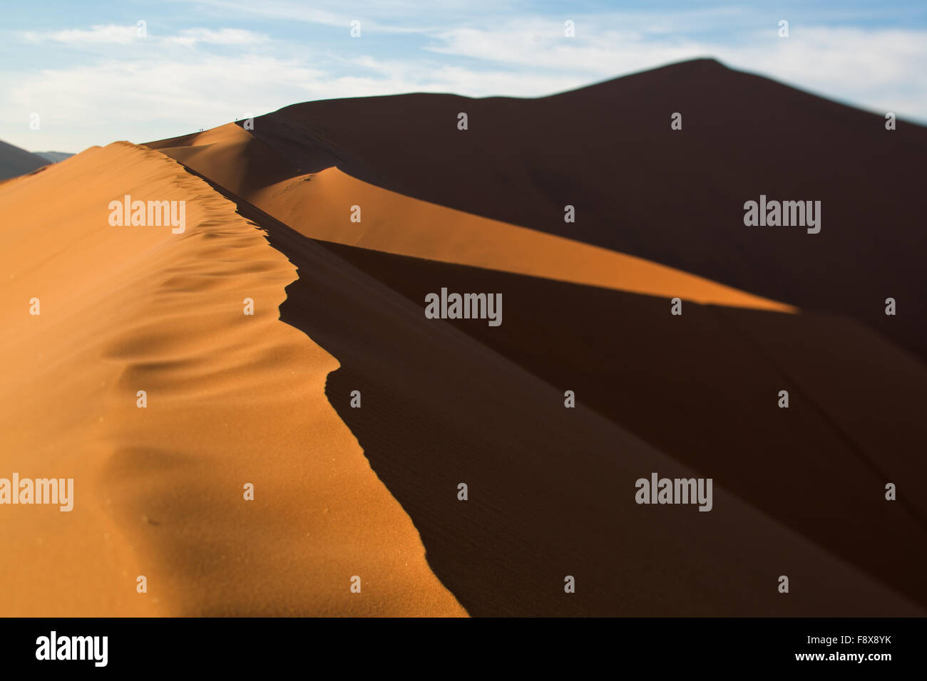 Eine Neigung verschoben Blick über die Dünen rund um Deadvlei, Sossusvlei, Namib-Naukluft Park, Namibia Stockfoto