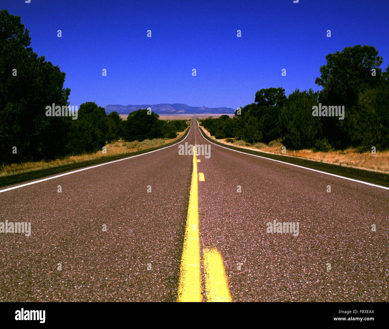 Offene Straße durch Südwesten der Vereinigten Staaten unter blauem Himmel Stockfoto