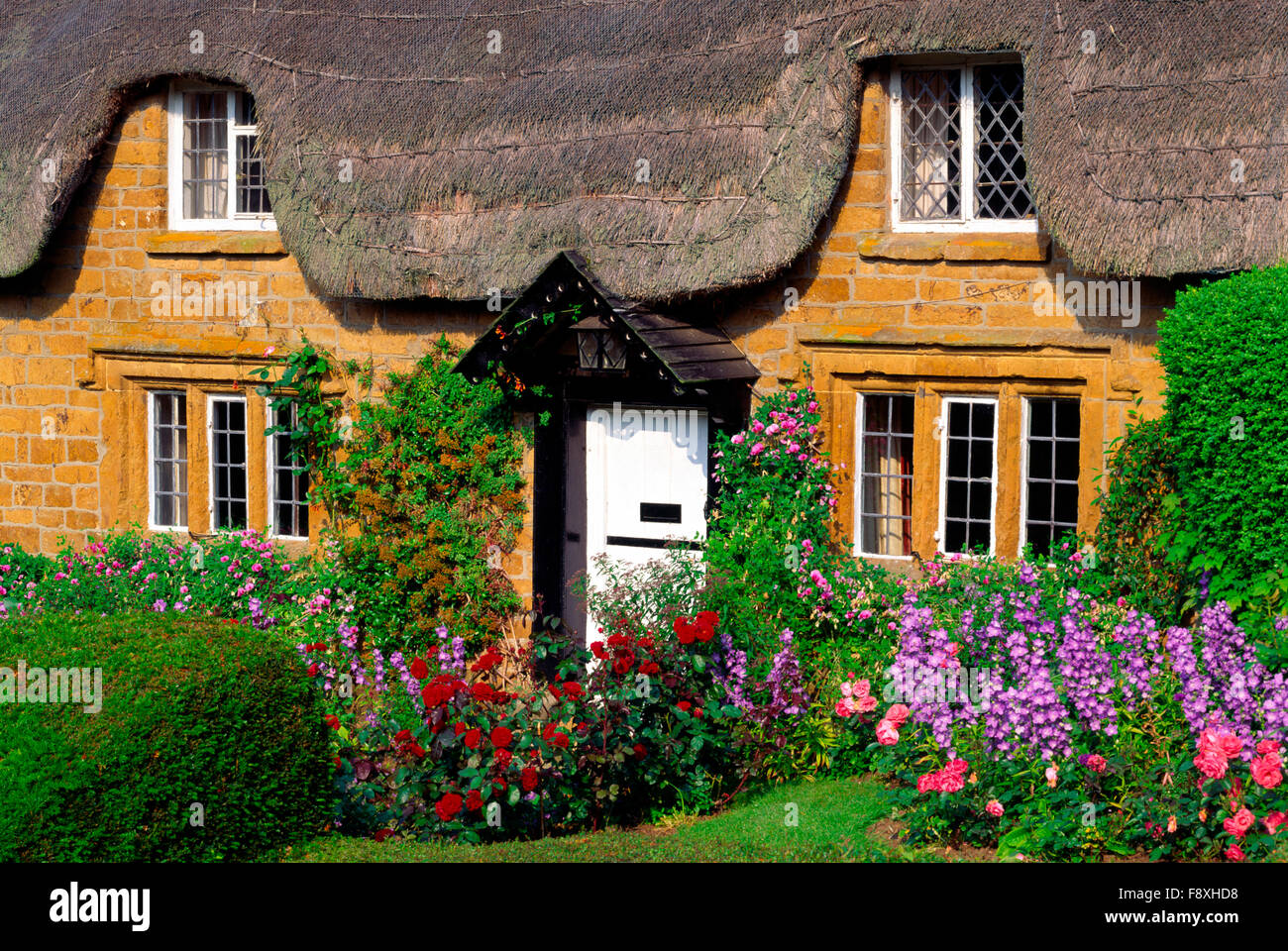 Reetdachhaus in Oxfordshire, England, UK Stockfoto