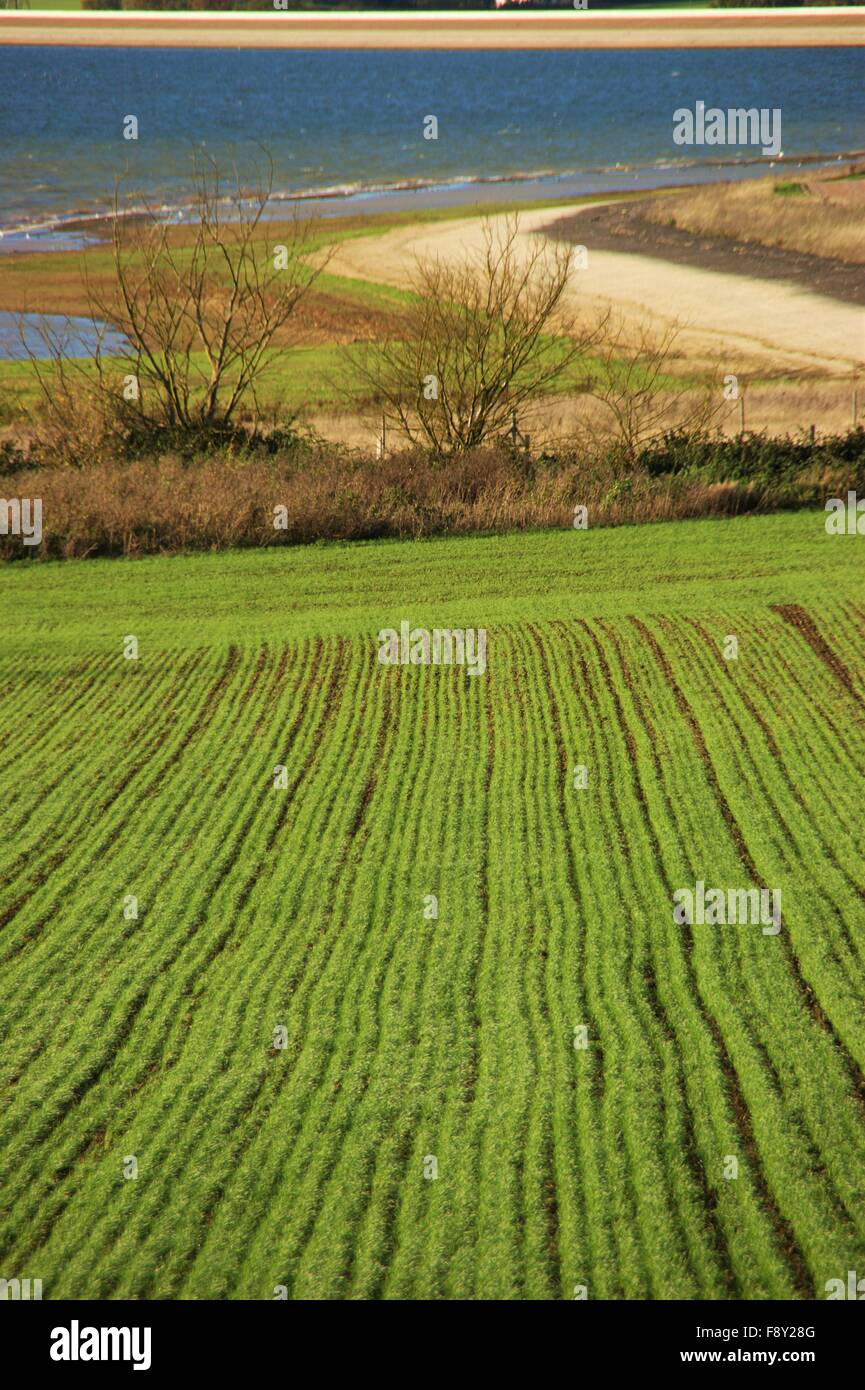 Feld und Reservoir-Szene Stockfoto