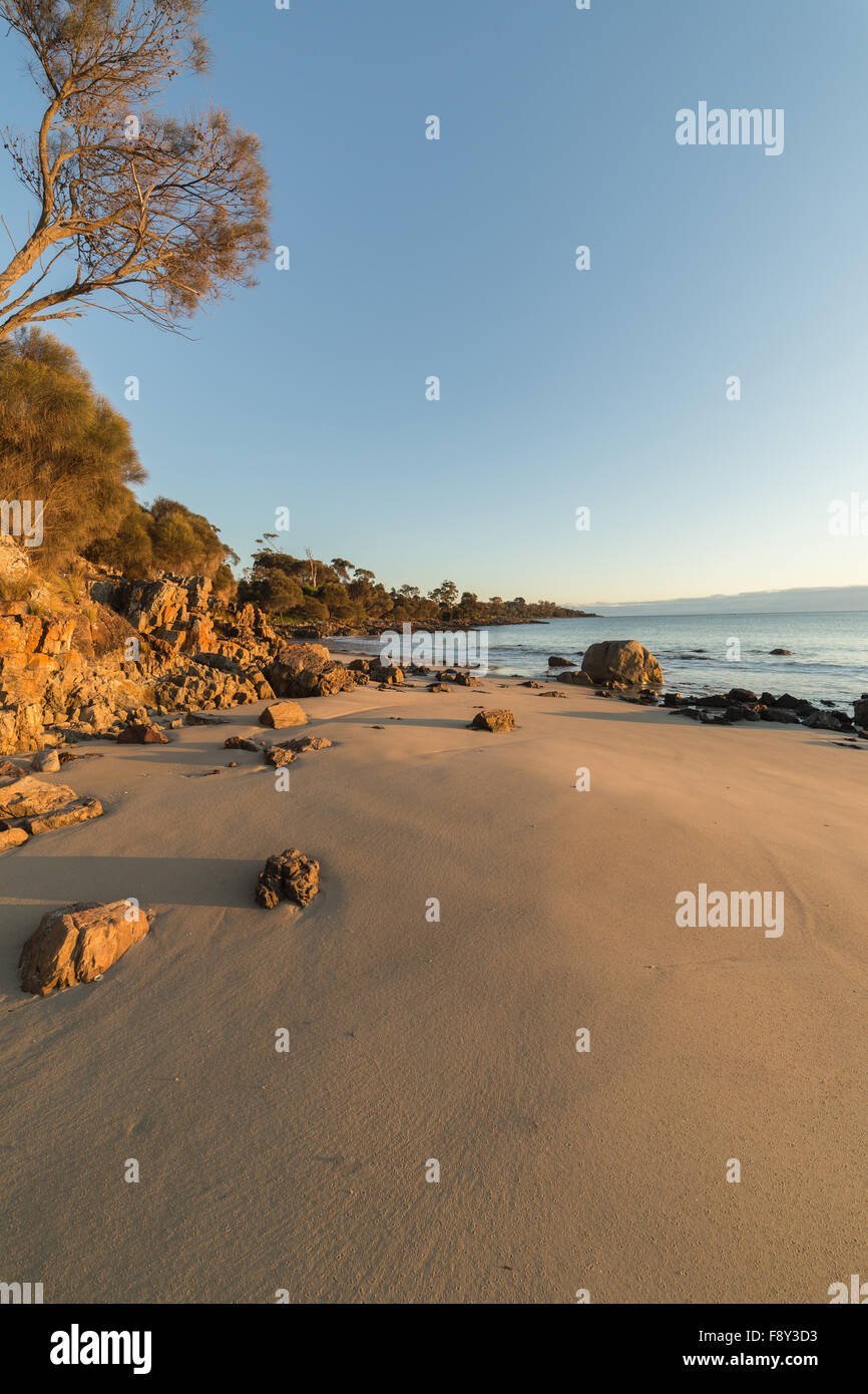 Portrait Format Strand mit Felsen und Bäume Stockfoto