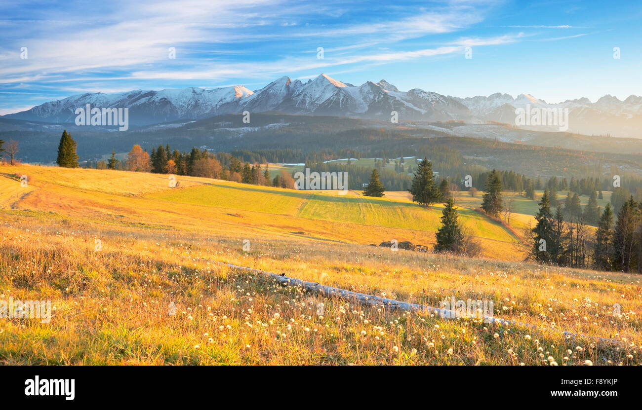 Landschaftsansicht der hohen Tatra, in der Nähe von Zakopane, Polen Stockfoto