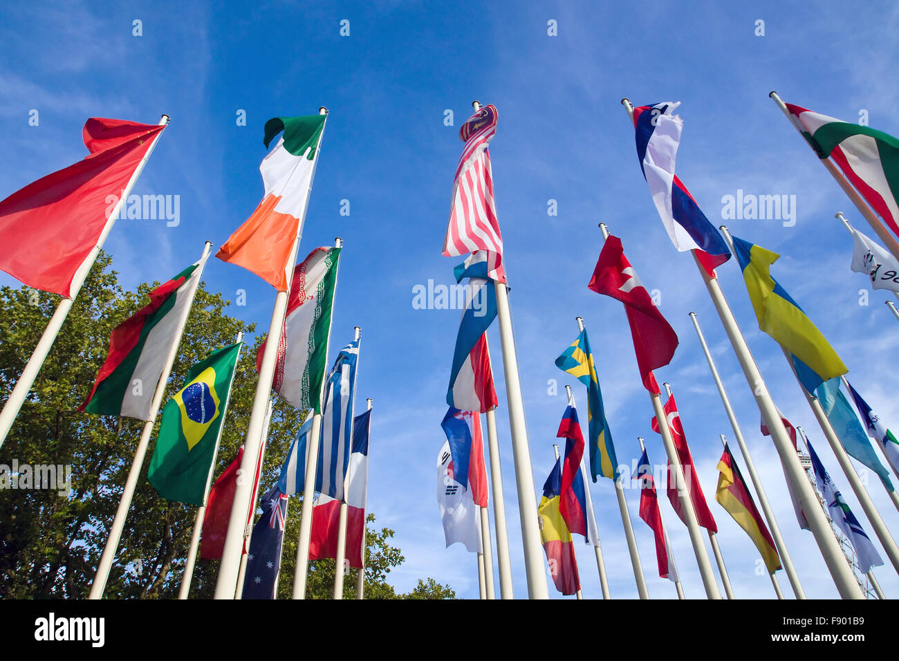Internationale Fahnen mit Bäumen und einem blauen Himmel im Hintergrund Stockfoto