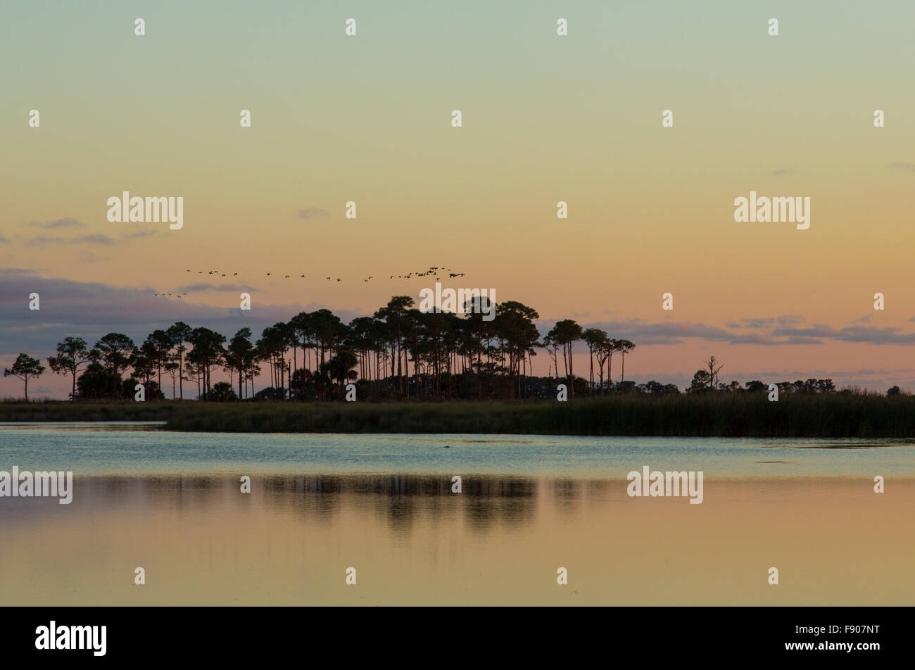 Dämmerung über St. Marks National Wildlife Refuge in Florida Stockfoto