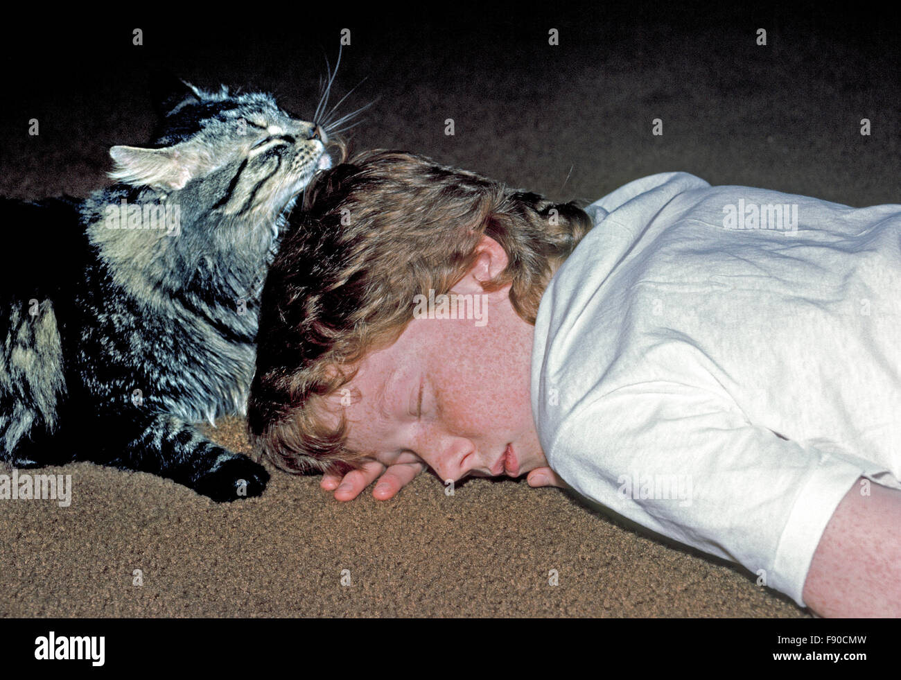 Graue und schwarze Katze liegt gegen den behaarten Kopf von einer 12-Year-Old American Boy, die zu Hause auf einem Teppichboden in diesem friedlichen ehrliches Porträt Katze und Freund schläft. -Modell veröffentlicht. Stockfoto