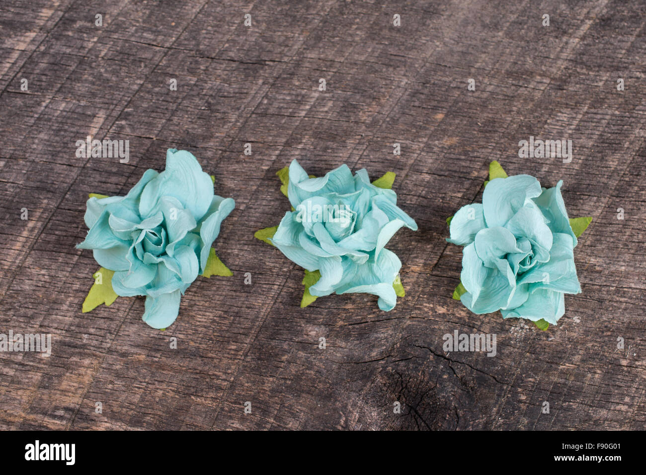 Drei leichte blaue Rosen auf alte Scheune Holz Stockfoto
