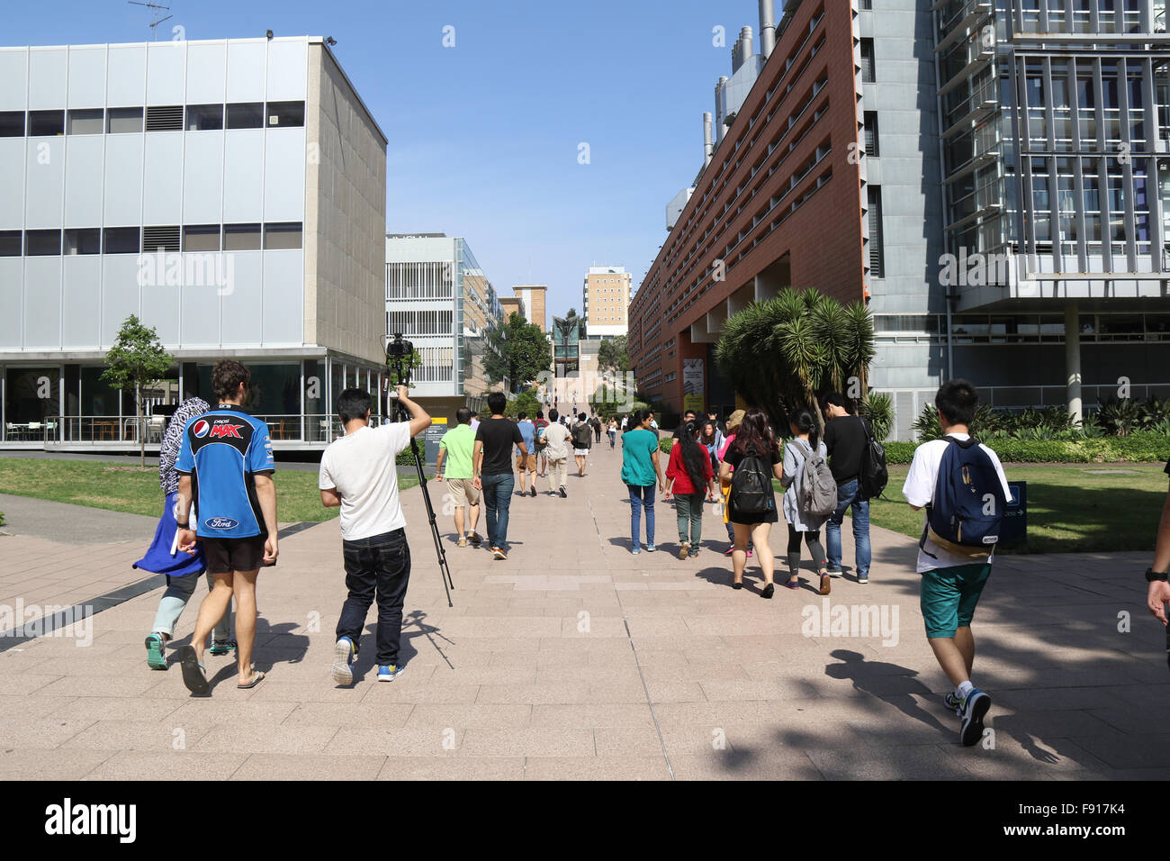 Universität von New South Wales (UNSW) in Kensington, Sydney, Australien. 10. Dezember 2015. Stockfoto