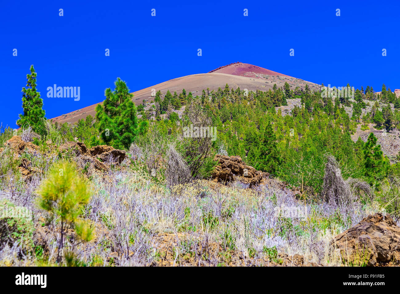 Berge-Landschaft auf Teneriffa Kanarische Inseln in Spanien am Tag Stockfoto