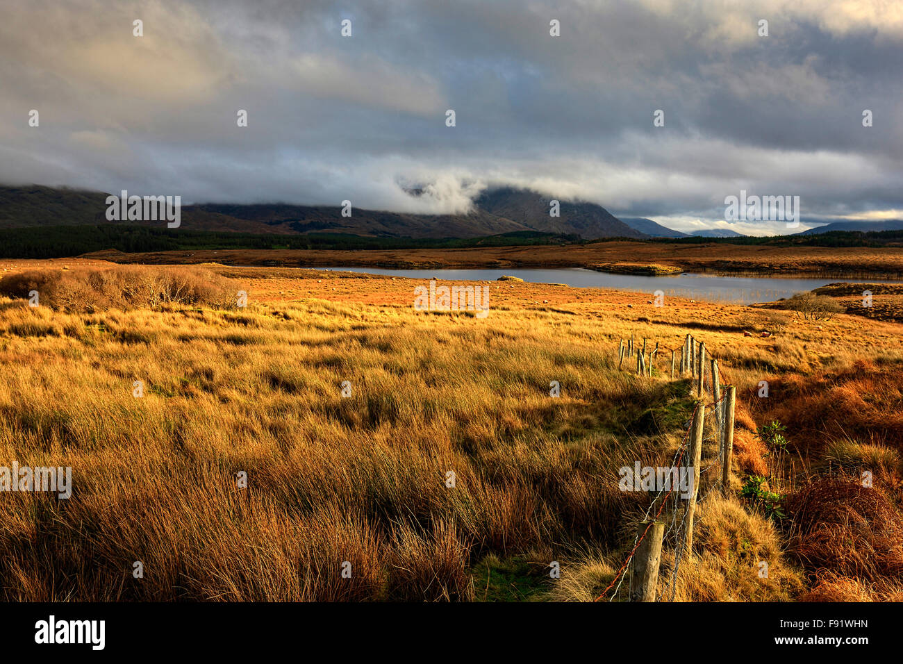 Irische Landschaft, Connemara, County Galway, Republik Irland, Europa. Stockfoto