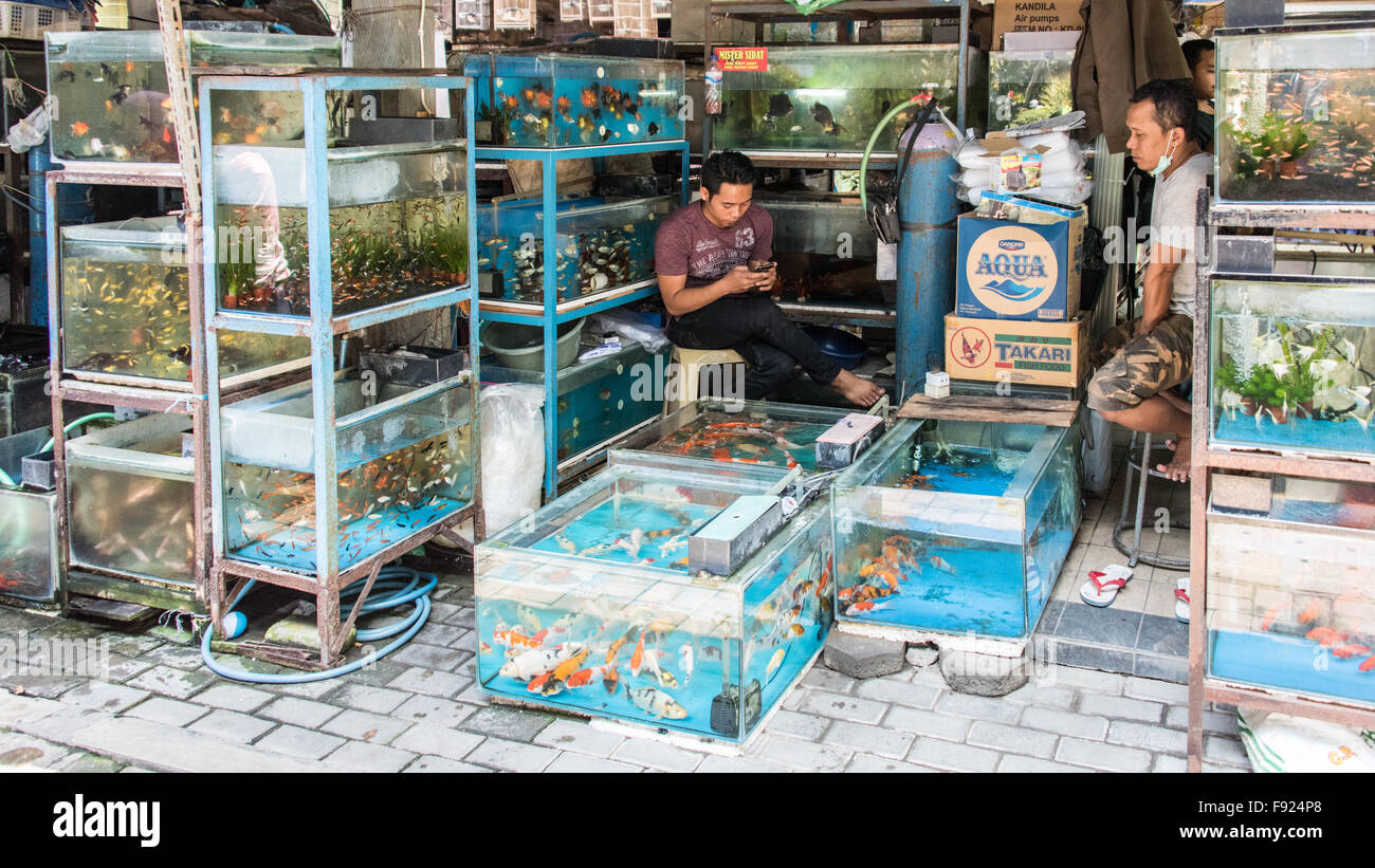 Fisch auf Verkauf, Pasar Ngasem Markt, Yogyakarta, Java, Indonesien Stockfoto