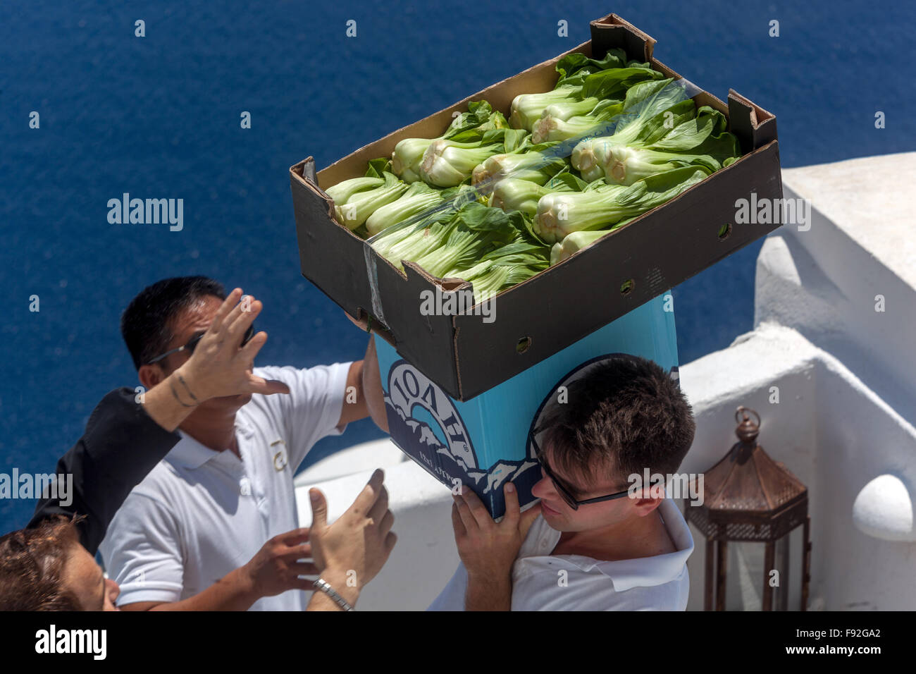 Pak Choi Gemüse in einer Box, die Lieferung von Waren, Santorini, griechische Insel, Griechenland Stockfoto Pak Choi Gemüse in einer Box, die Lieferung von Waren, Santorini, griechische Insel, Griechenland Stockfoto