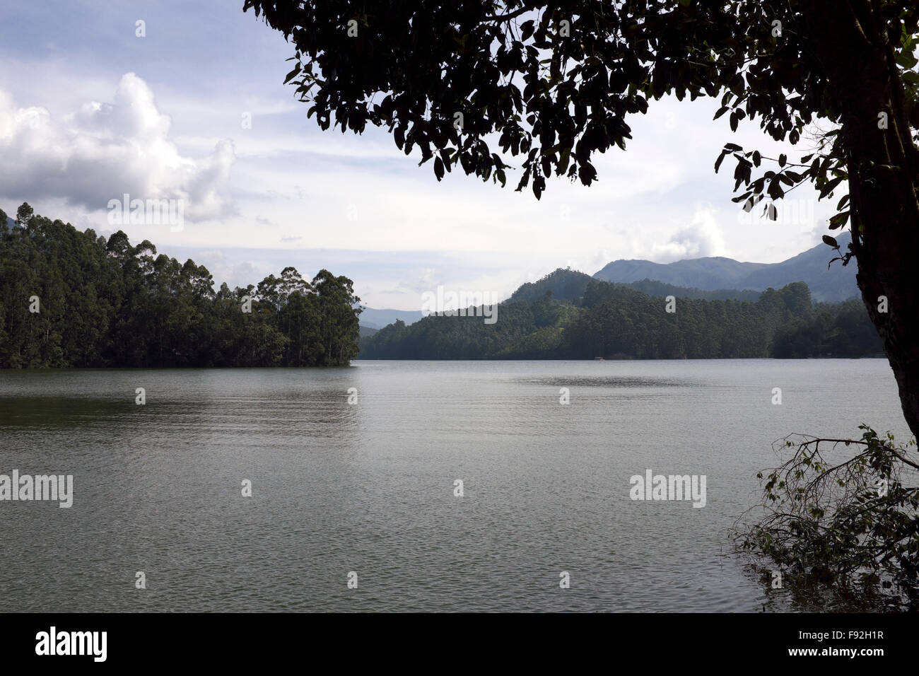 Mattupetty Dam Reservoir, Kerala, Indien Stockfoto