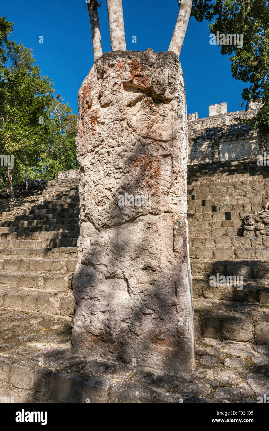 Stele an Estructura XIII Pyramide, Maya Ruinen, in Calakmul archäologischen Stätte, La Ruta Río-Bec, Halbinsel Yucatan, Mexiko Stockfoto