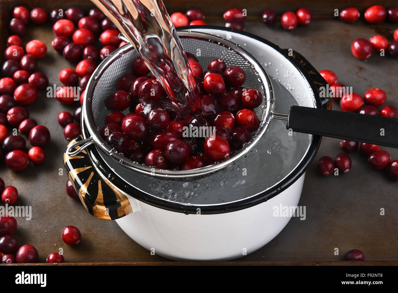 Waschen die Preiselbeeren Cranberry-Sauce für Thanksgiving zu machen. Stockfoto