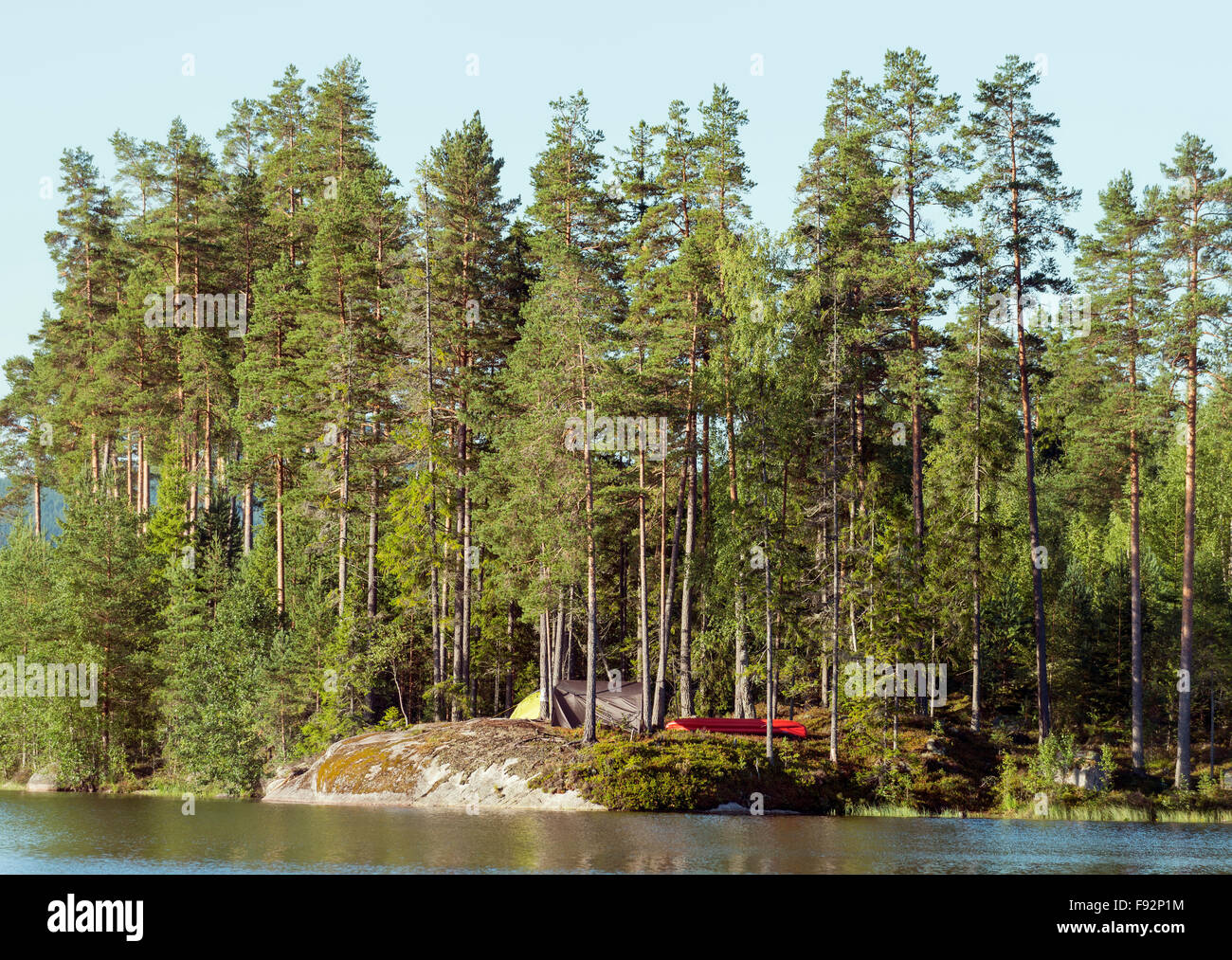 Zelten im Wald Stockfoto