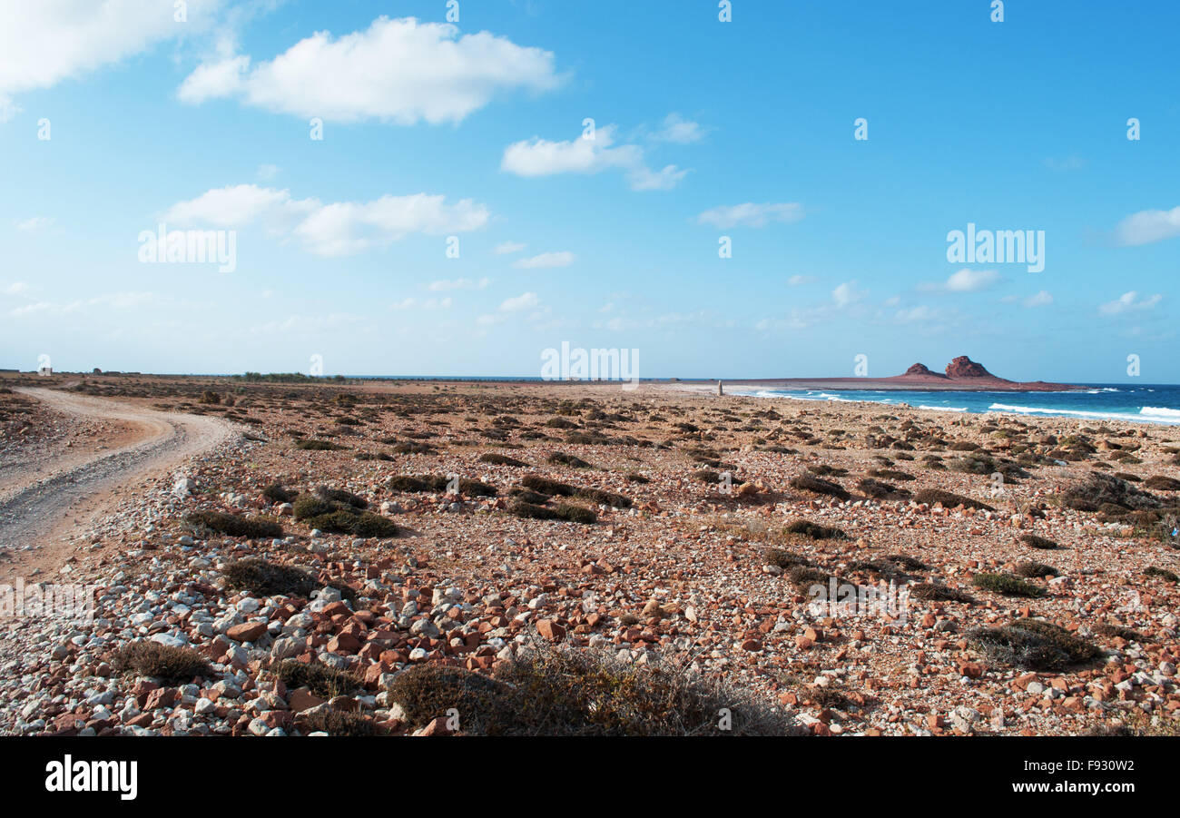 Sokotra, Jemen, Naher Osten: die Landschaft der geschützte Bereich der Dihamri marine, im Nordosten der Insel bekannt für seine einzigartige Biodiversität Stockfoto