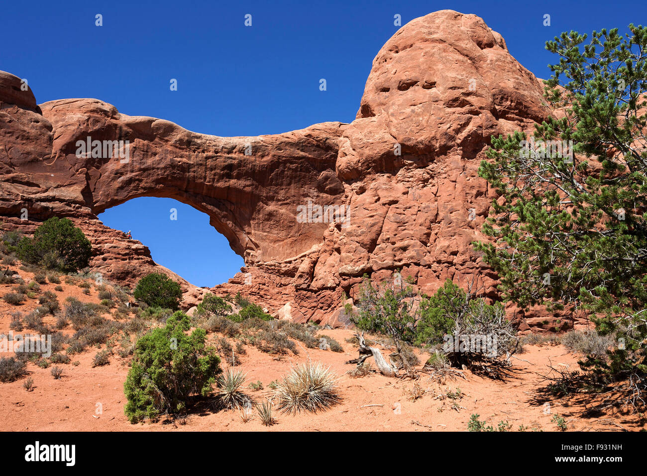 Norden der Fenster-Auswahl-Fenster Arches-Nationalpark, Utah, USA Stockfoto