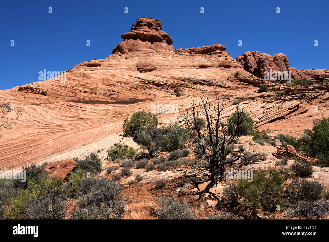 Rock-Formation, Texturen, Garten Eden, Arches-Nationalpark, Utah, USA Stockfoto