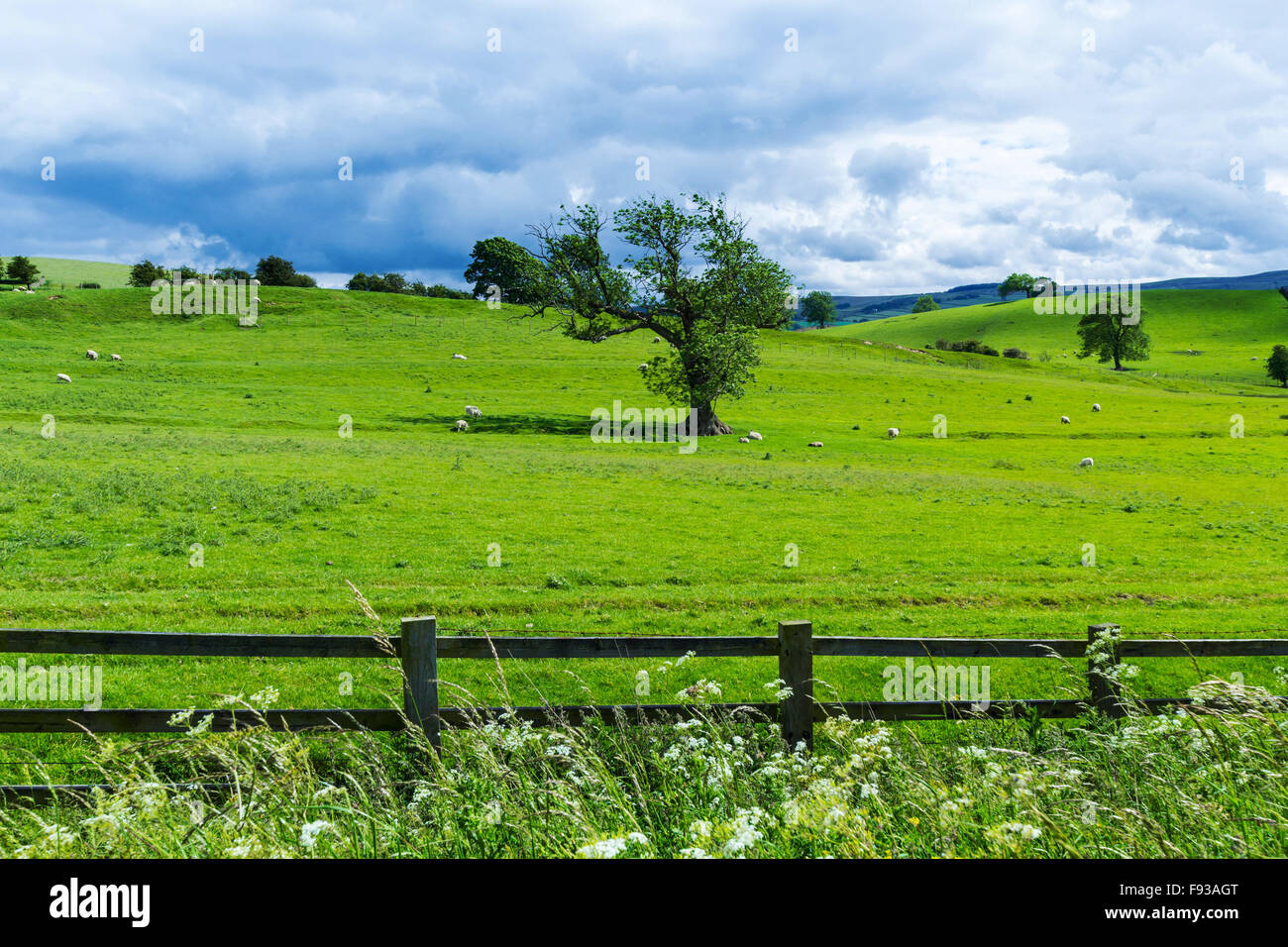 Schöne Landschaft in Yorkshire, England, UK Stockfoto