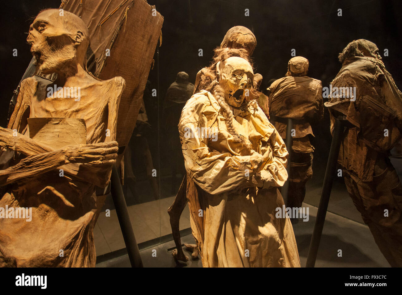 Makabre Mumien in Guanajuato, Mexiko berühmte Mumie Museum. Stockfoto