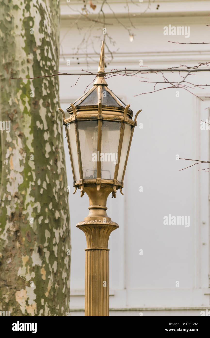 Alten Stil Lichter der Stadt mit Stamm Baum und weißen Wand im Hintergrund im Quadrat Recoleta in Buenos Aires, Argentinien. Stockfoto