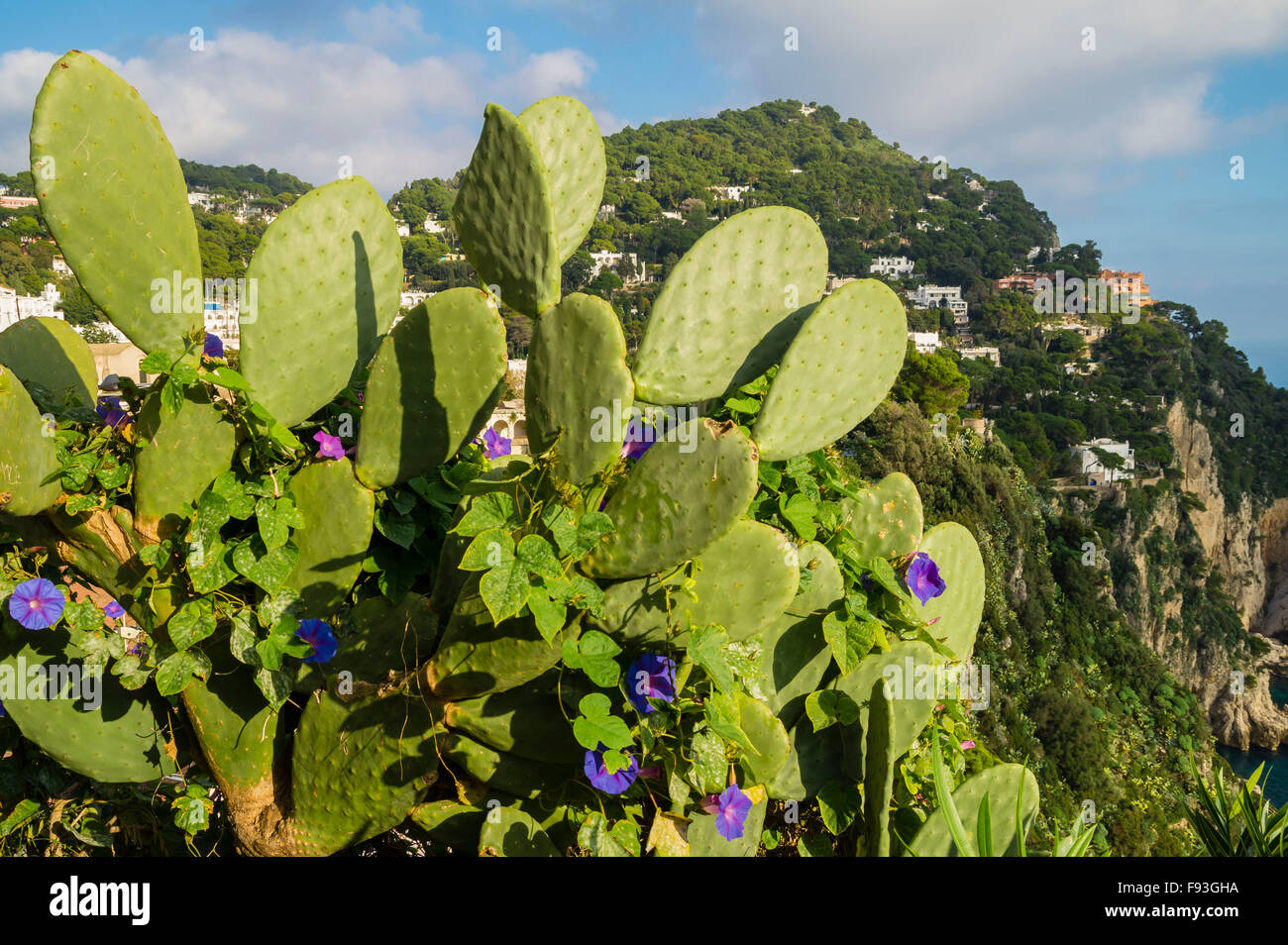 Herbst an der Küste der Insel Capri - Insel der Liebe, berühmte Destination in Italien Stockfoto