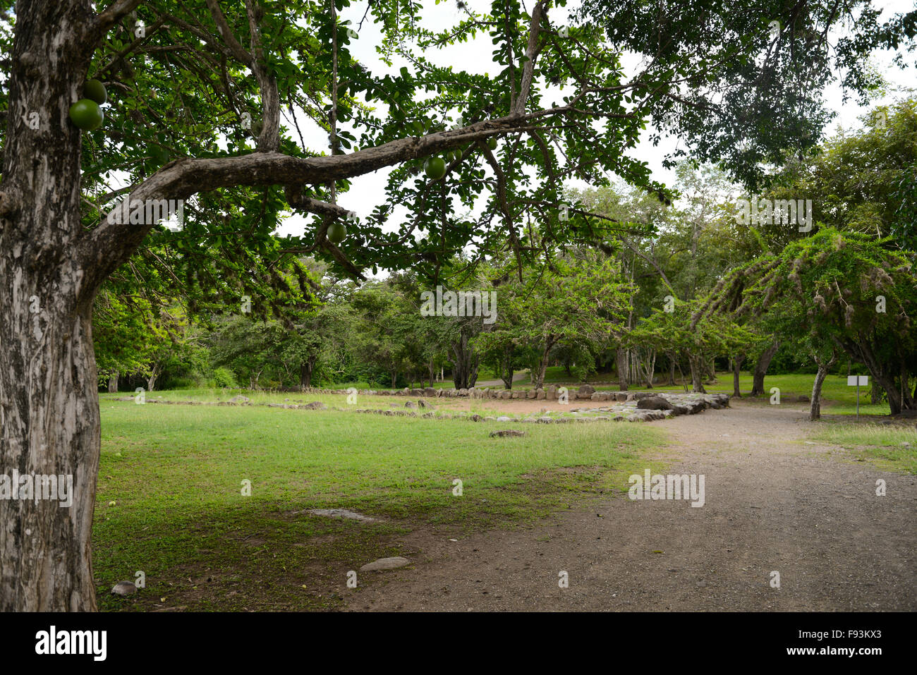 Tibes Eingeborene zeremonielle Zentrum. Ponce, Puerto Rico. Karibik-Insel. Territorium der USA Stockfoto