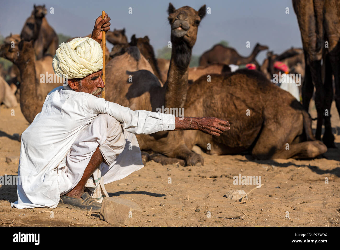 Rajasthani tragen traditionelle Kleidung an der Pushkar Mela camel Fair, Pushkar, Rajasthan, Indien Stockfoto
