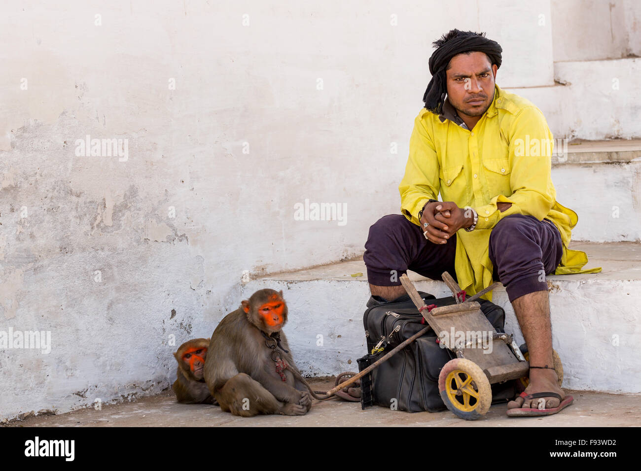 Ein Mann mit seinen bemalten Makaken (Macaca Mulatta) Rhesusaffen warten, Pushkar, Rajasthan, Indien Stockfoto