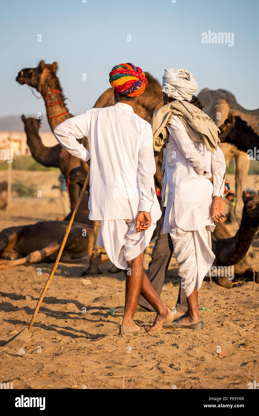 Zwei Männer beobachten die Kamele in Pushkar Mela Kamel fair, Pushkar, Rajasthan, Indien Stockfoto