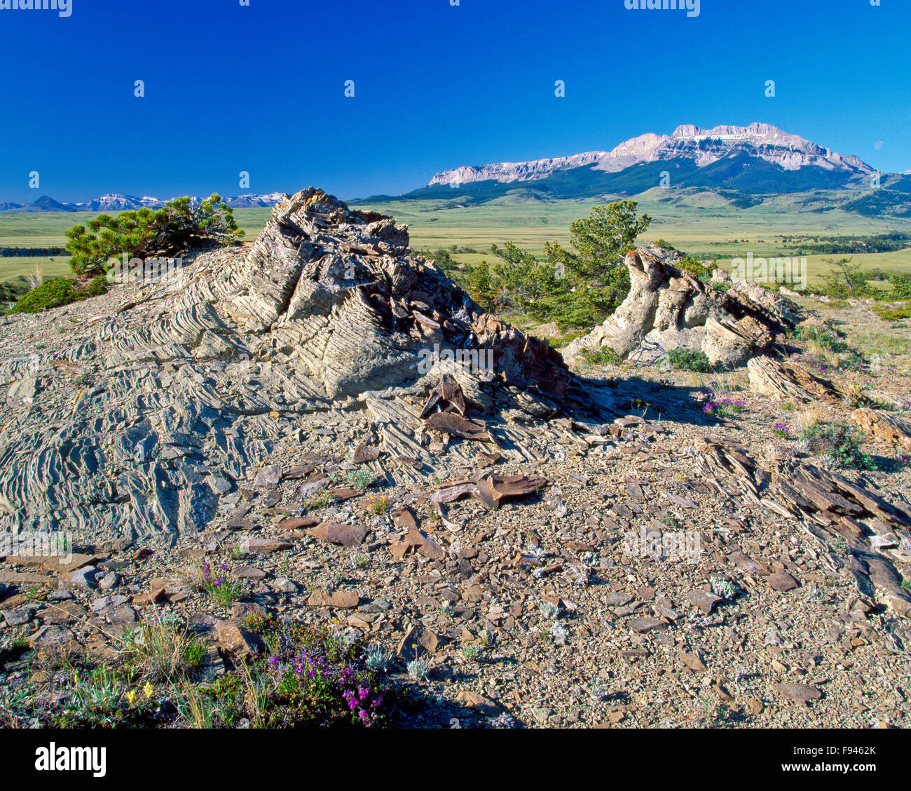 Felsvorsprünge auf der Prärie unterhalb des Sägezahnrückens entlang der felsigen Bergfront in der Nähe von Choteau, montana Stockfoto