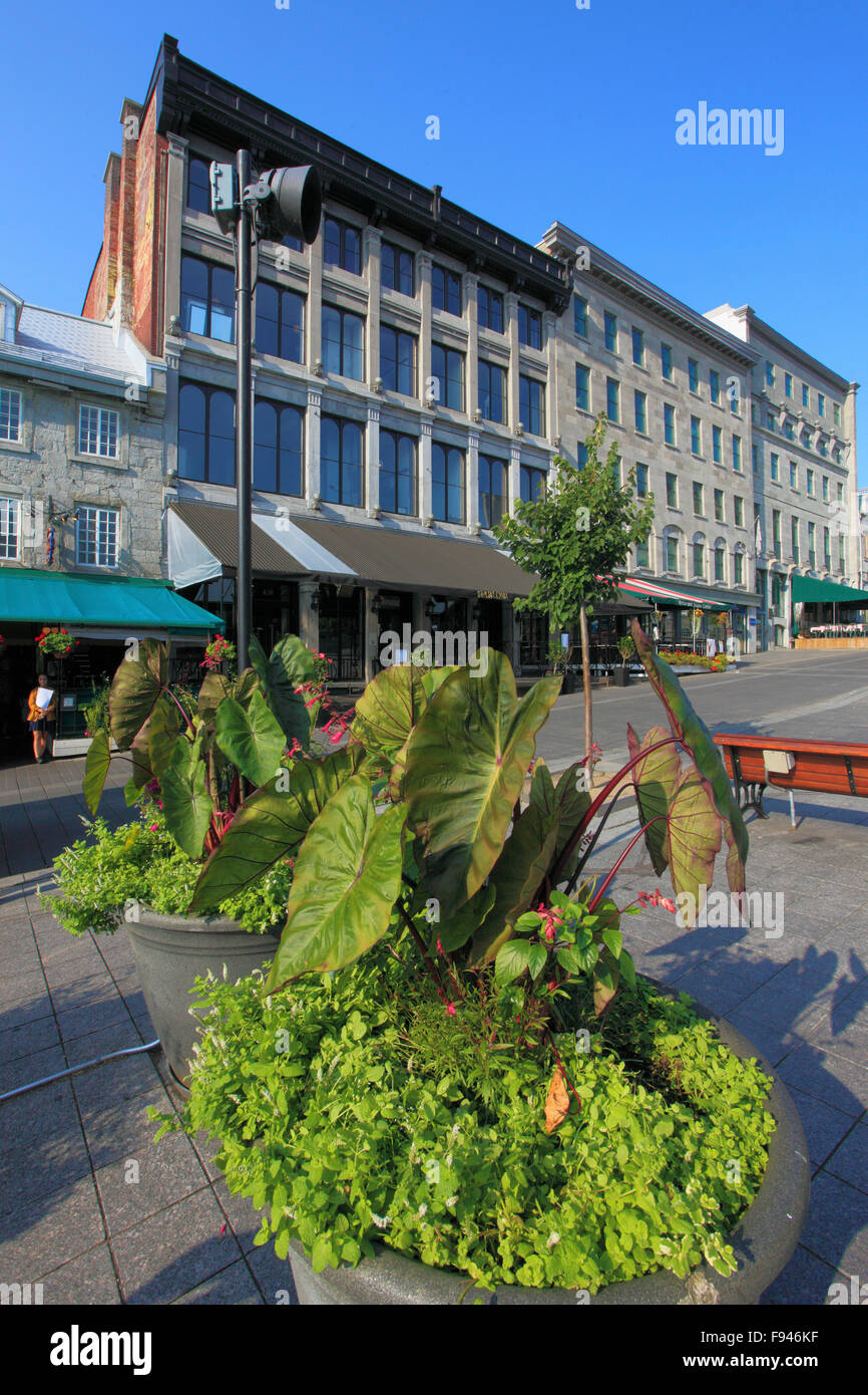 Kanada, Quebec, Montreal, setzen Sie Jacques-Cartier, Stockfoto