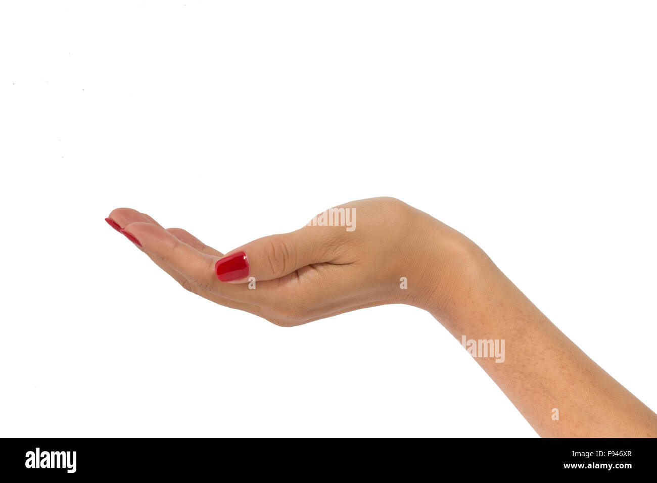 Zarte Frauenhand mit roten Fingernägeln hält nichts auf weißem Hintergrund Stockfoto