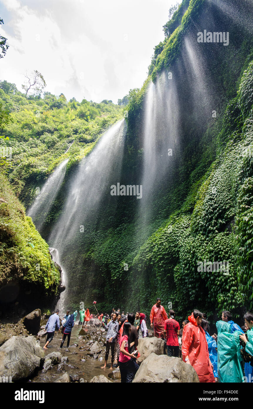 Madakaripura Wasserfall, Java, Indonesien Stockfoto