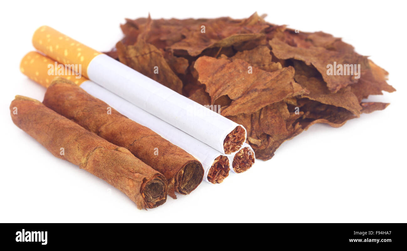 Trockene Tabakblätter mit Zigarette auf weißem Hintergrund Stockfoto