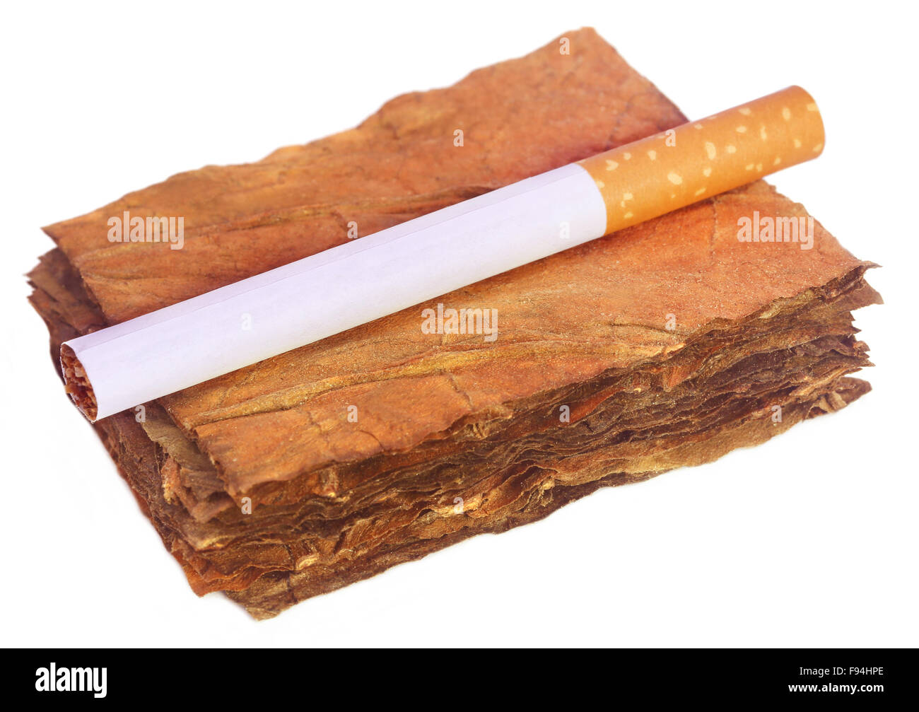 Trockene Tabakblätter mit Zigarette auf weißem Hintergrund Stockfoto