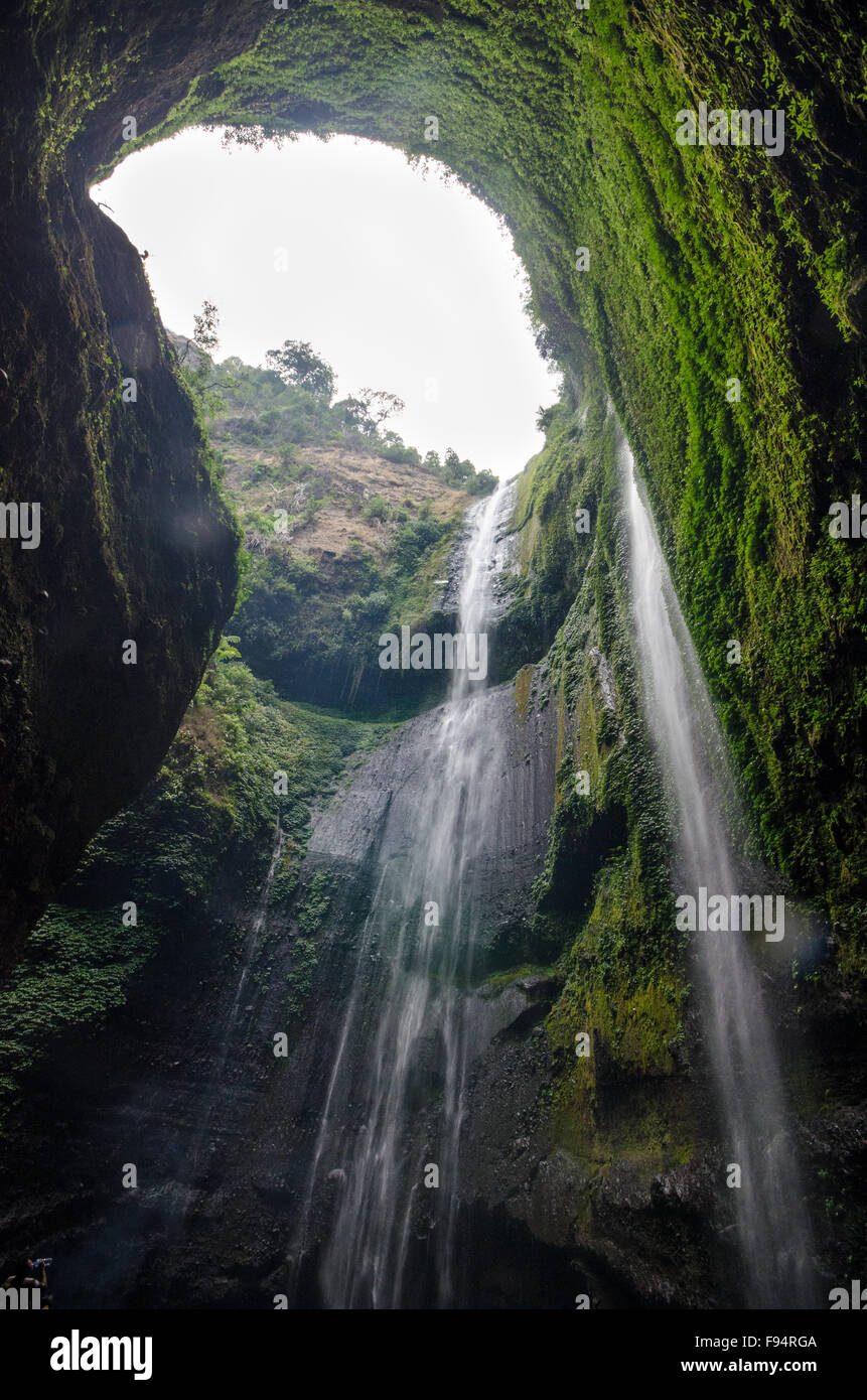 Madakaripura Wasserfall, Java, Indonesien Stockfoto