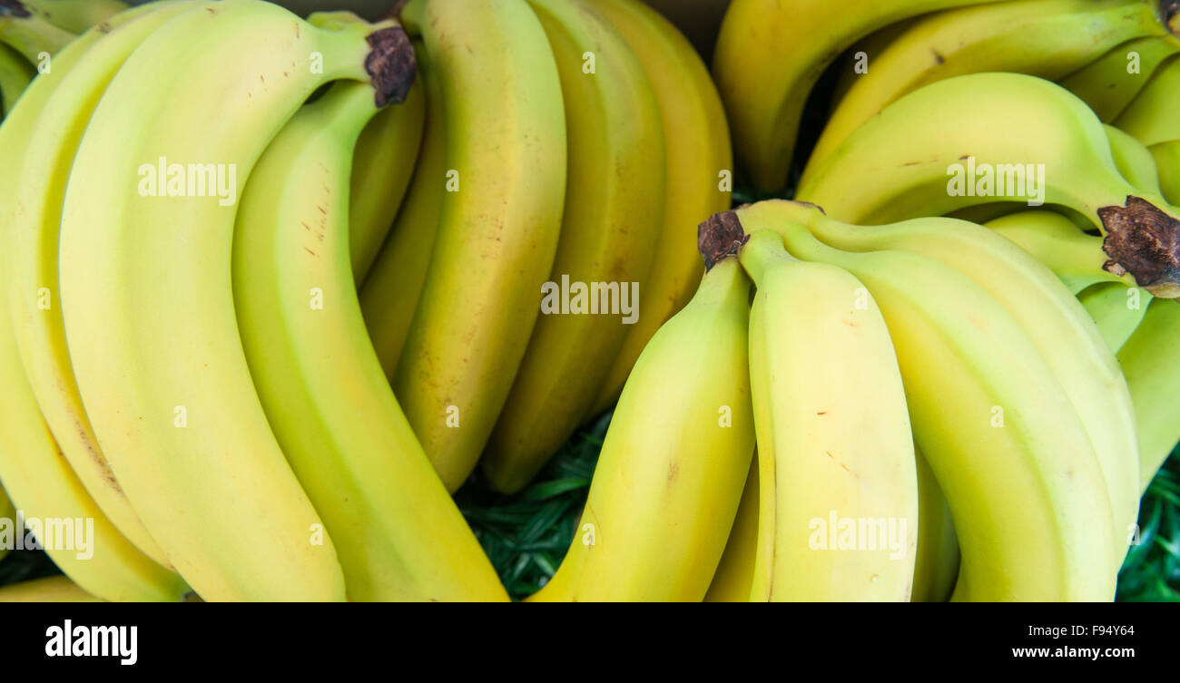 Bananen heap Detail frischen rohen Teil Früchte Stockfoto