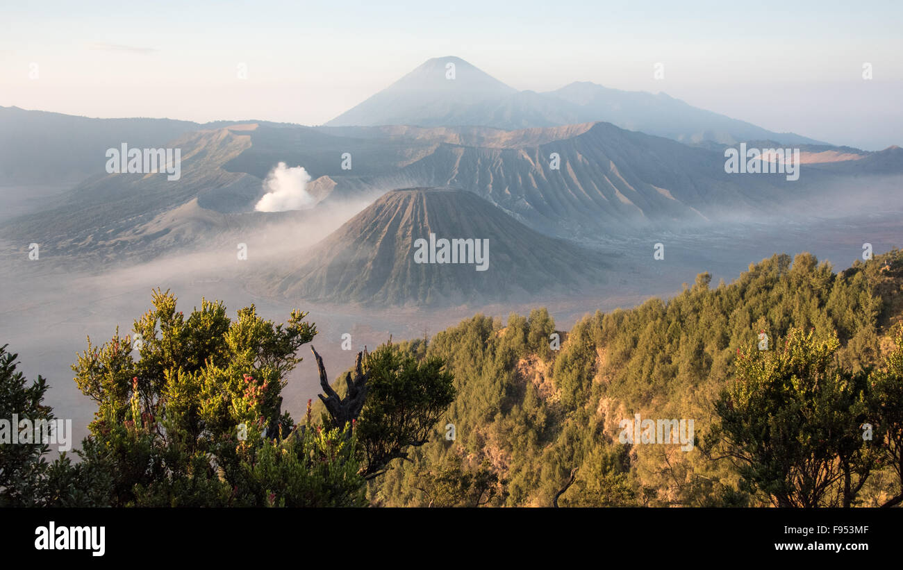 Mounto Bromo bei Sonnenaufgang, Ost-Java, Indonesien Stockfoto