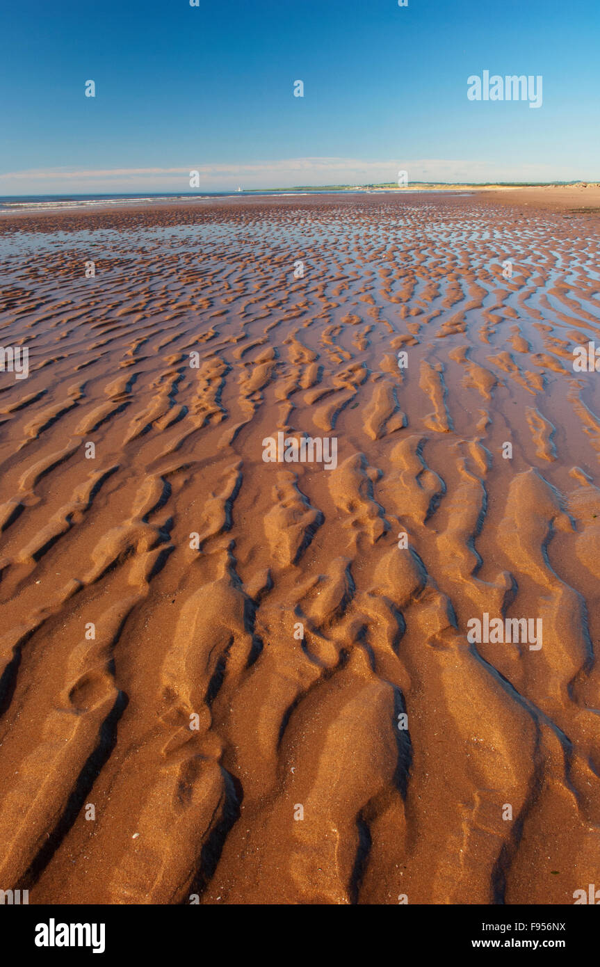 Der Strand von St Cyrus National Nature Reserve - Aberdeenshire, Schottland. Stockfoto