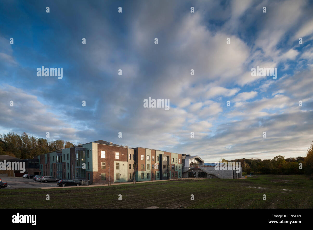 Durham University Business School. Außenansicht eines Gebäudes und Rasen. Backsteinfassade. Stockfoto