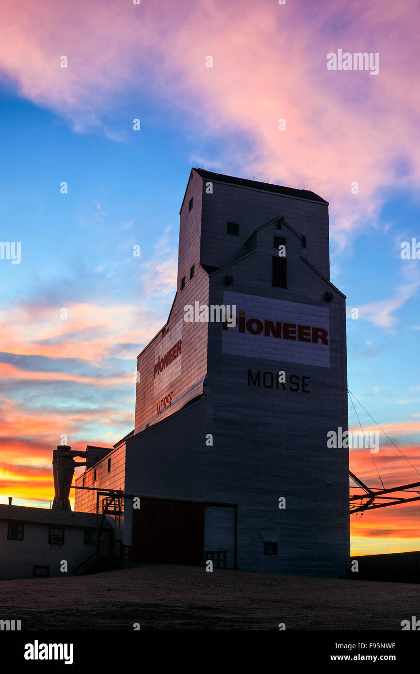 Grain Elevator bei Sonnenuntergang, Morse, Saskatchewan, Kanada Stockfoto