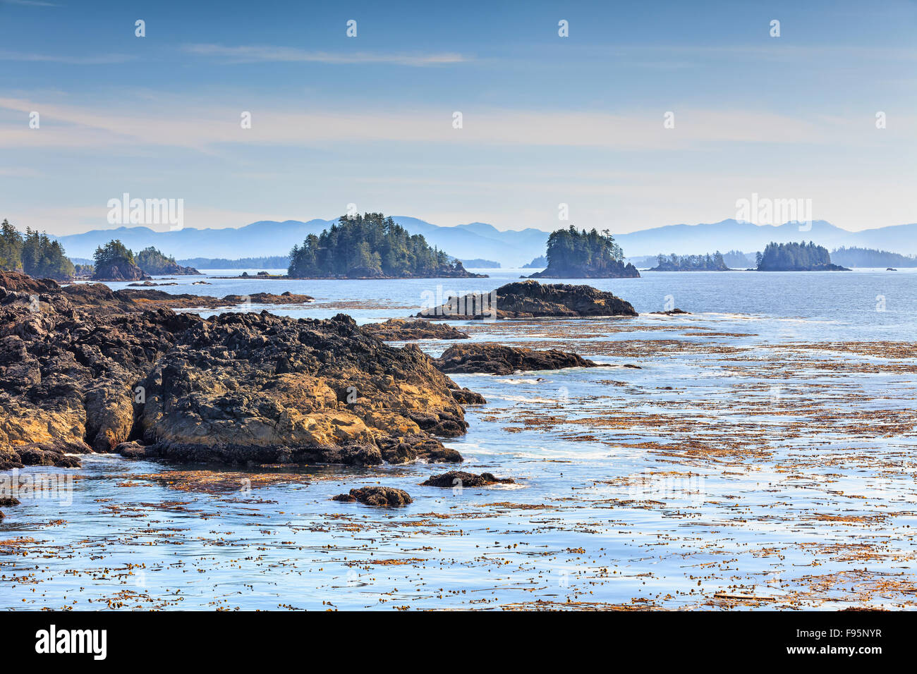 Barkley Sound, Pacific Rim National Park, Vancouver Island, British Columbia, Kanada Inselgruppe eingeritten. Stockfoto