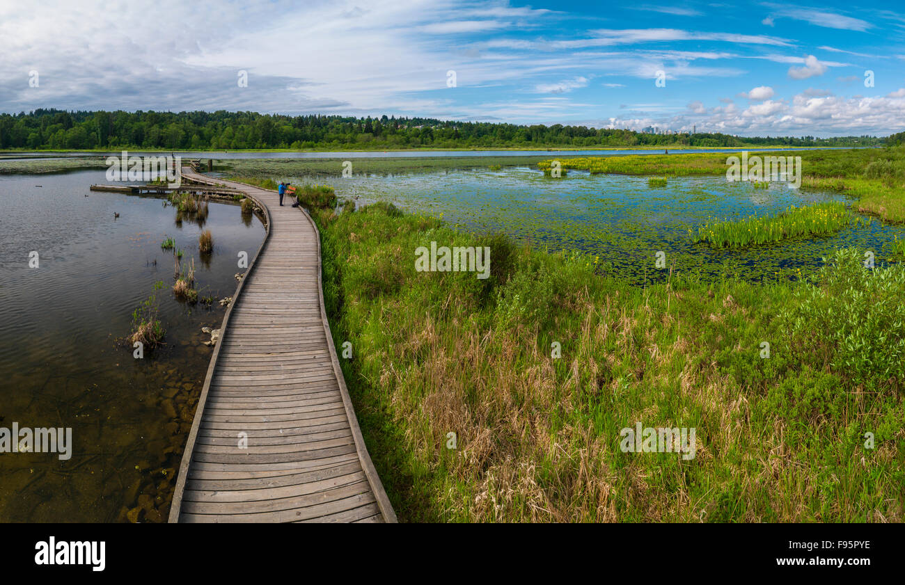 Burnaby Lake, Vancouver, Britisch-Kolumbien, Kanada Stockfoto