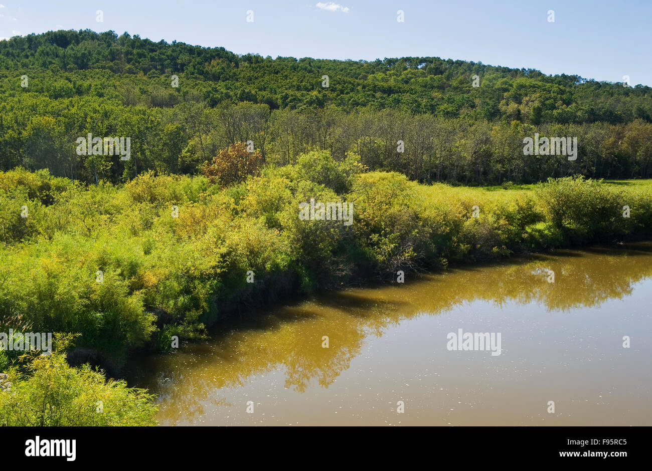 Little Saskatchewan River, in der Nähe von Minnedosa, Manitoba Stockfoto