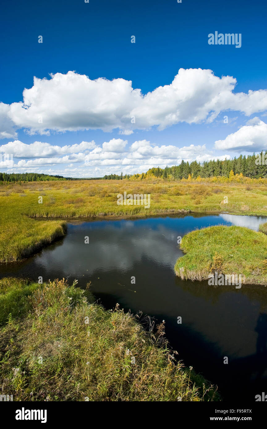Teich, Prince Albert National Park, Saskatchewan, Kanada Stockfoto