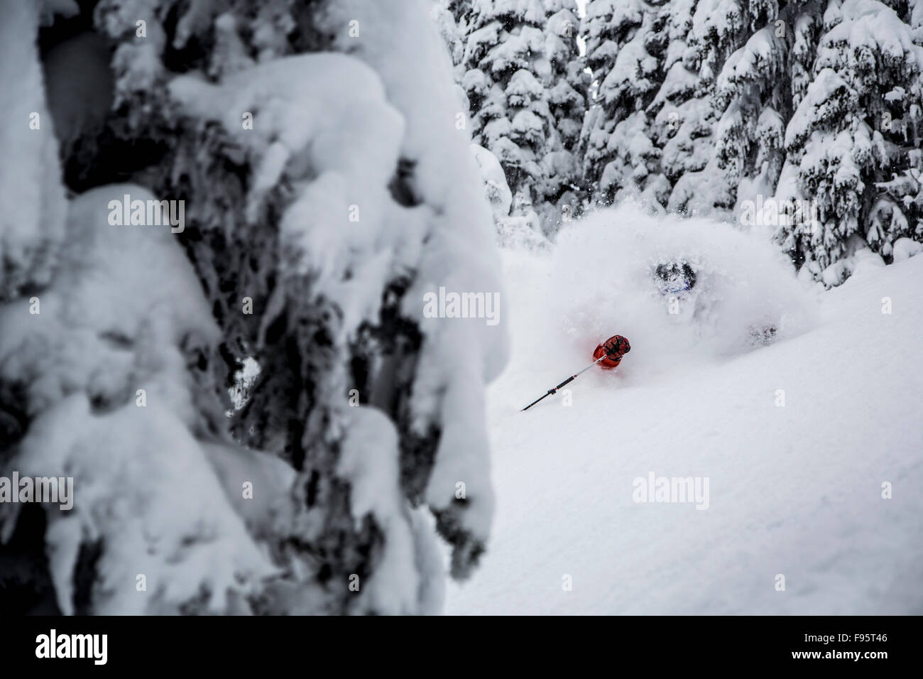 Tiefschneefahren, Heliskiing, Faceshot, Goat Range, Selkirk Mountains, Kaslo, British Columbia, Kanada Stockfoto