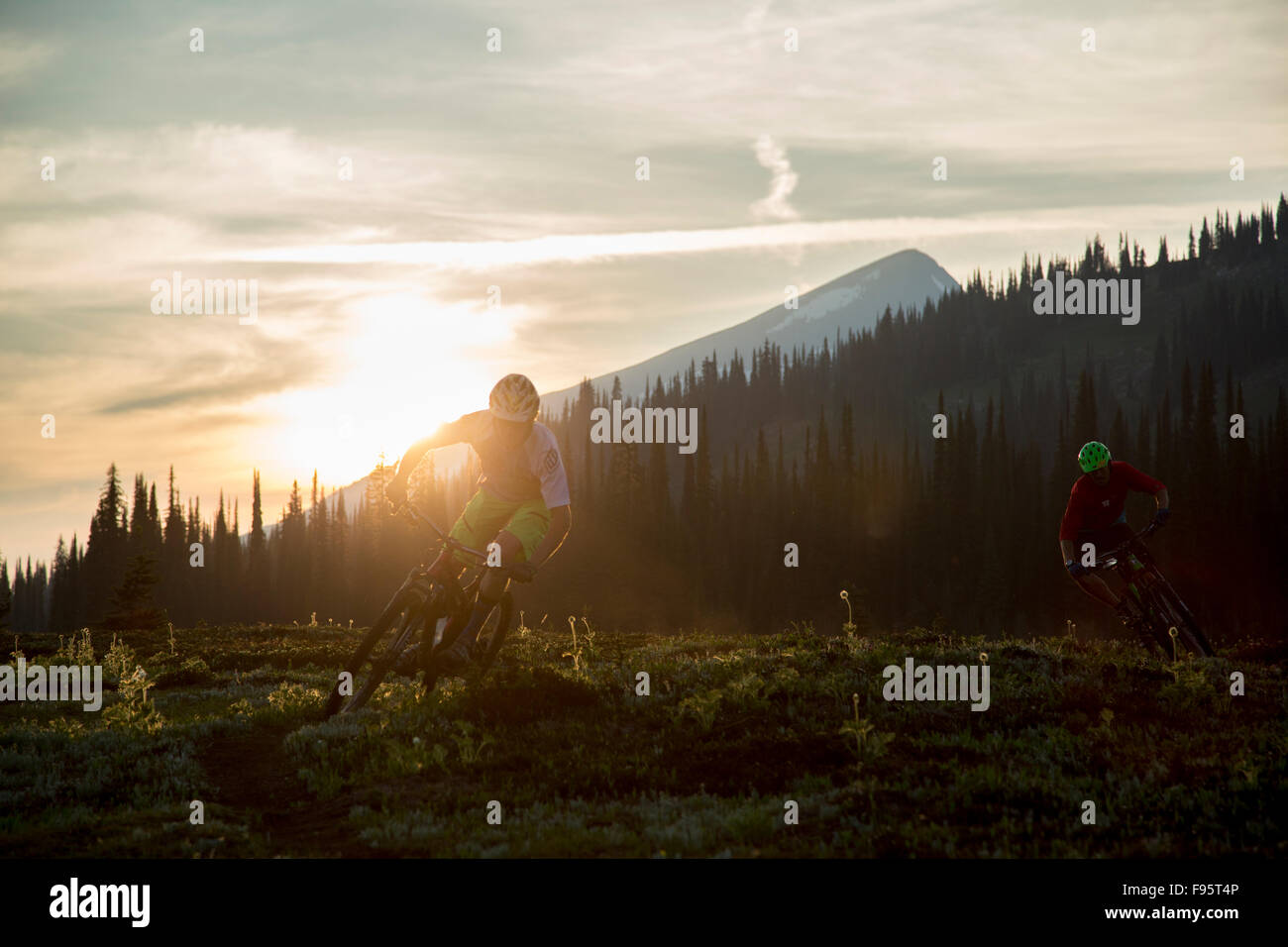 Mountainbike-Touren, Singletrails, Mount Fostall, Monashee Mountains, Sol Mountain Lodge, Britisch-Kolumbien, Kanada Stockfoto