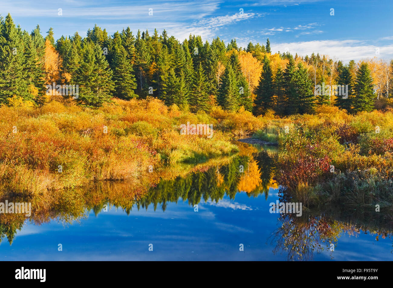 Herbst Fluss, Riding Mountain National Park, Manitoba, Kanada Stockfoto